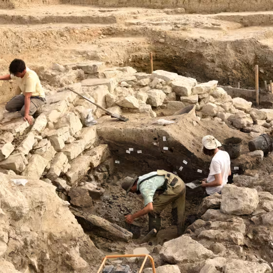 Personnes travaillant dans un champ de fouilles